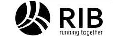 RIB Software